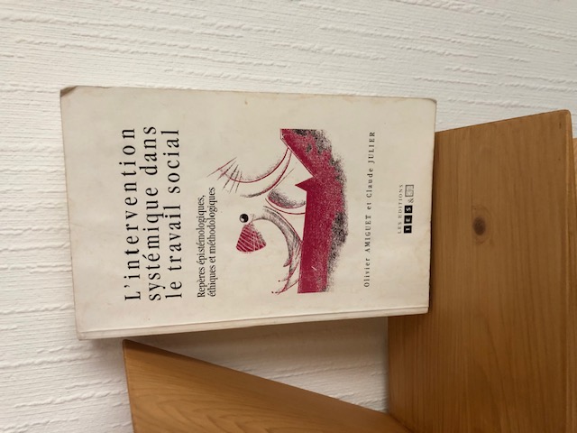livre l'intervention systemique