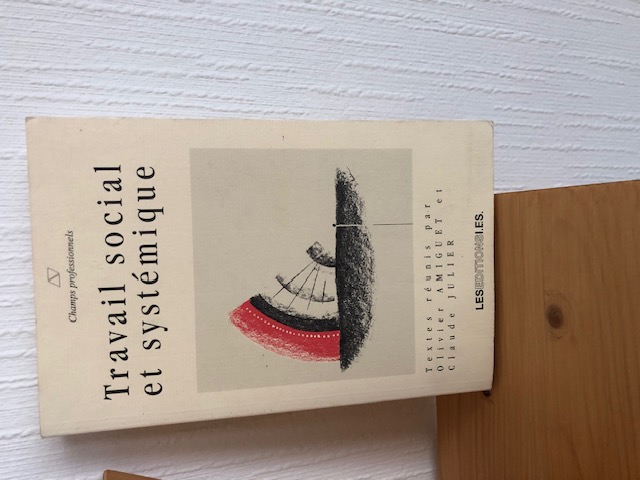 livre travail social et systemique