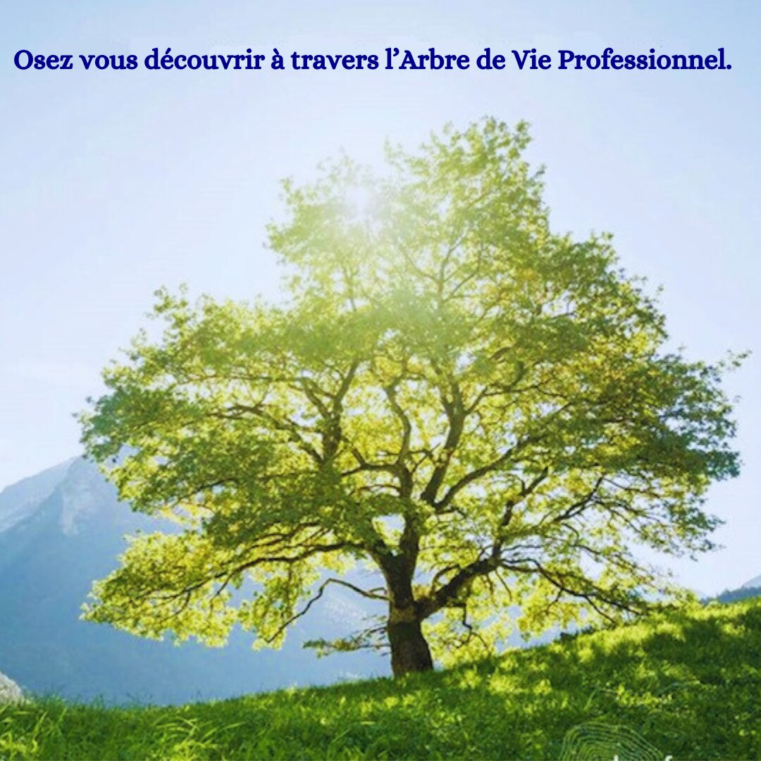 photo motivation arbre de vie par Lucia Tenore