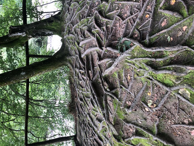 avatar atelier Lucia Tenore