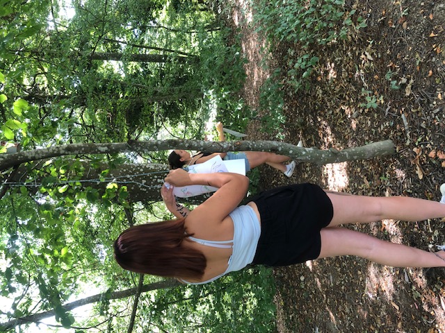 atelier arbre de vie by Lucia Tenore