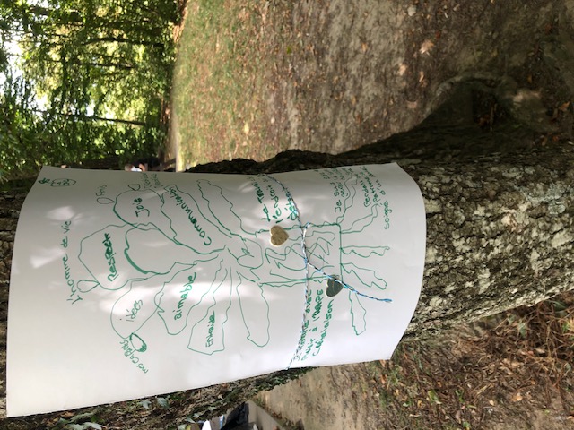 atelier arbre de vie by Lucia Tenore